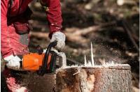 Campbelltown Tree Service image 2